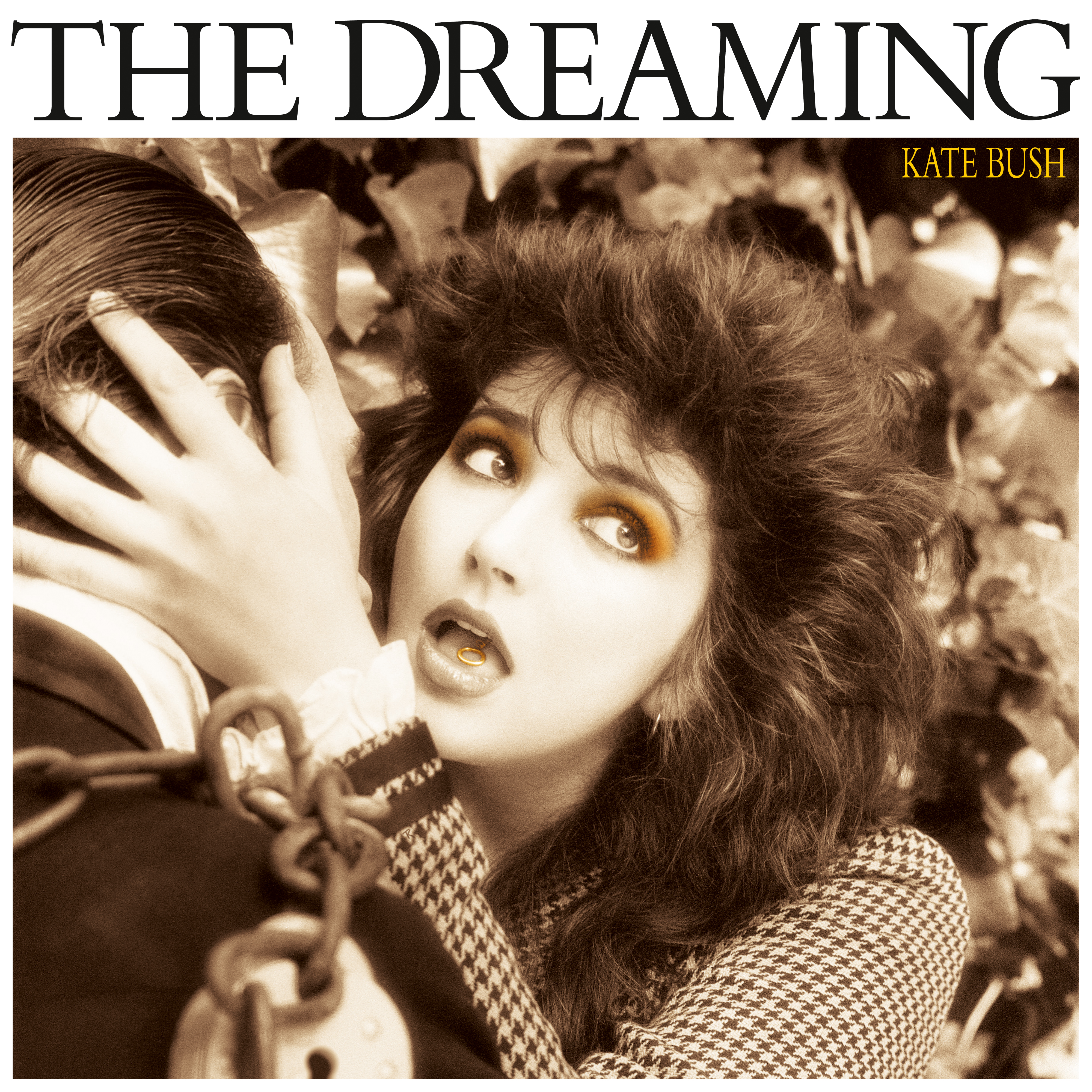 Bush, Kate - The Dreaming, Vinyl Album